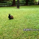 여름특집_인디 발라드_순금반지_작사 시화 전양우_가수 양우_작 편곡 수노_기획 윤기영 이미지