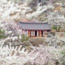 (주)수도여행사 이미지