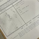수원-0220 | 망포체형교정 본밸런스 체형교정센터 수원영통점에서 수원골반교정 받은 후기