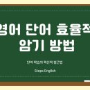 스텝스학원 이미지