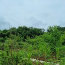 가평옛길 이미지