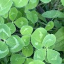 한일미래(아)경로당 | 2025 한일대학생교류사업 합격후기