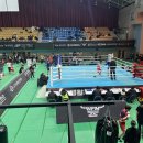 월드 복싱 체육관 이미지