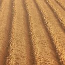 주식회사스마트엘 이미지