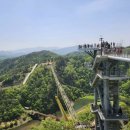 [마감]9/13(토)[카페 버스여행 공지]강원도 봉평 메밀꽃 가을 축제장 투어 및 원주 소금산 출렁다리 트레킹[ 1,2호차 마감 ] 이미지