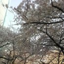 길세탁소 이미지