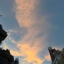 멘탈플스 이미지