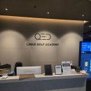 큐이디골프아카데미 성남점 | 위례골프 큐이디 링크스 골프에 2주간 레슨 기록