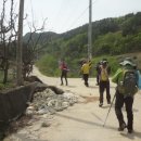 곡내 이미지