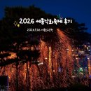 오;유미당세종정부 | [2026 세종낙화축제] 일년 중 딱 하루, 세종호수공원...주차전쟁·푸드트럭·준비물 꿀팁 후기(영상 있음)