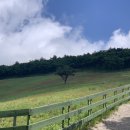 재훈목장 이미지