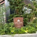 스타일 호텔 | 나고야역 근처 감성 숙소 🇯🇵 | 니코 스타일 나고야 호텔 후기 (위치·가격 총정리)