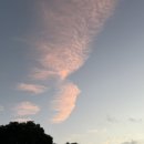 브라보수산 - 강동구 양재대로138길 11 | 브라보수산