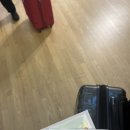 홍콩공항에서 침사추이 가는 법 버스 / 옥토퍼스 카드 수령 및 충전 사용법(+어플 잔액 조회)