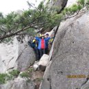 광시초등학교 이미지