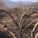 김영복농장 이미지