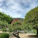 금송농장 이미지