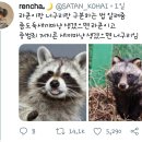 라쿤PC방 이미지