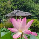 석장 Daum카페