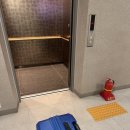 (합)동춘천현대서비스 | [영국] 유럽 여행(1) - 런던 입성기 (중국동방항공, 상하이 경유)