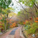 문동휴양지 이미지