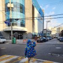 카페 솔빛로 이미지