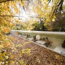 숲으로 가는 길 이미지