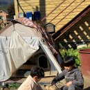 벨하우스 이미지