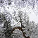 눈길등산로 이미지