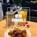 운정역 | [파주/운정] 애견동반 가능한 운정역카페 &#39;카페비니&#39; 솔직후기