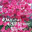 꽃보다 인생 원예 테라피 이미지