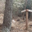 선강(하) 이미지