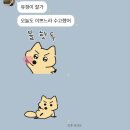 범스플라워샵 | 2024 시작 모음집