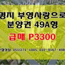 강서사랑공인중개사사무소 이미지