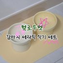 헬로우버터 | 헬로우펫 국내제작 세라믹 강아지 높은굽 도자기식기 버터옐로우 추천