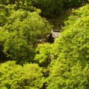 장홍순2 이미지