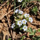 큰재 주차장 이미지