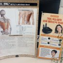 청계상가, 아카데미조명앞 | 대구 중구 전신순환관리 '세이벨라스킨앤바디' - 복부+하체순환케어 후기