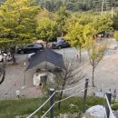 천안밤나무골가족캠핑농원 이미지