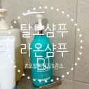 라온디자인 | 탈모 전문기업 탈모샴푸 라온샴푸 실제 사용 후기