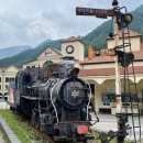 하이원 추추파크 스위치 백트레인과 글램핑 이미지