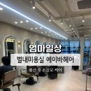 헤어크리닉 | [엄마일상] 별내 미용실 에이바헤어 하오니코 크리닉 후기
