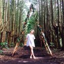 탱자네민박 이미지