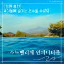 홍천 소노펠리체 빌리지 인피니티풀 수영장 위치, 셔틀버스 정보 등(소노벨 소노문 비발디파크 다 컴온)