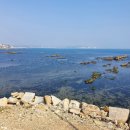 민락씨랜드시장 이미지