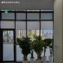 법무사이유란사무소