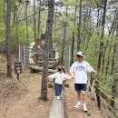 전주 아이와 가볼만한 곳 학산유아숲체험원(5세 이상 추천)