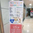 욜로 그루밍 펫샵 이미지