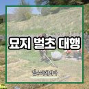 회천서초등학교 | 산소 묘지 벌초 대행 업체 잡초제거하기