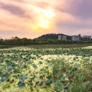 신척산단4로 이미지